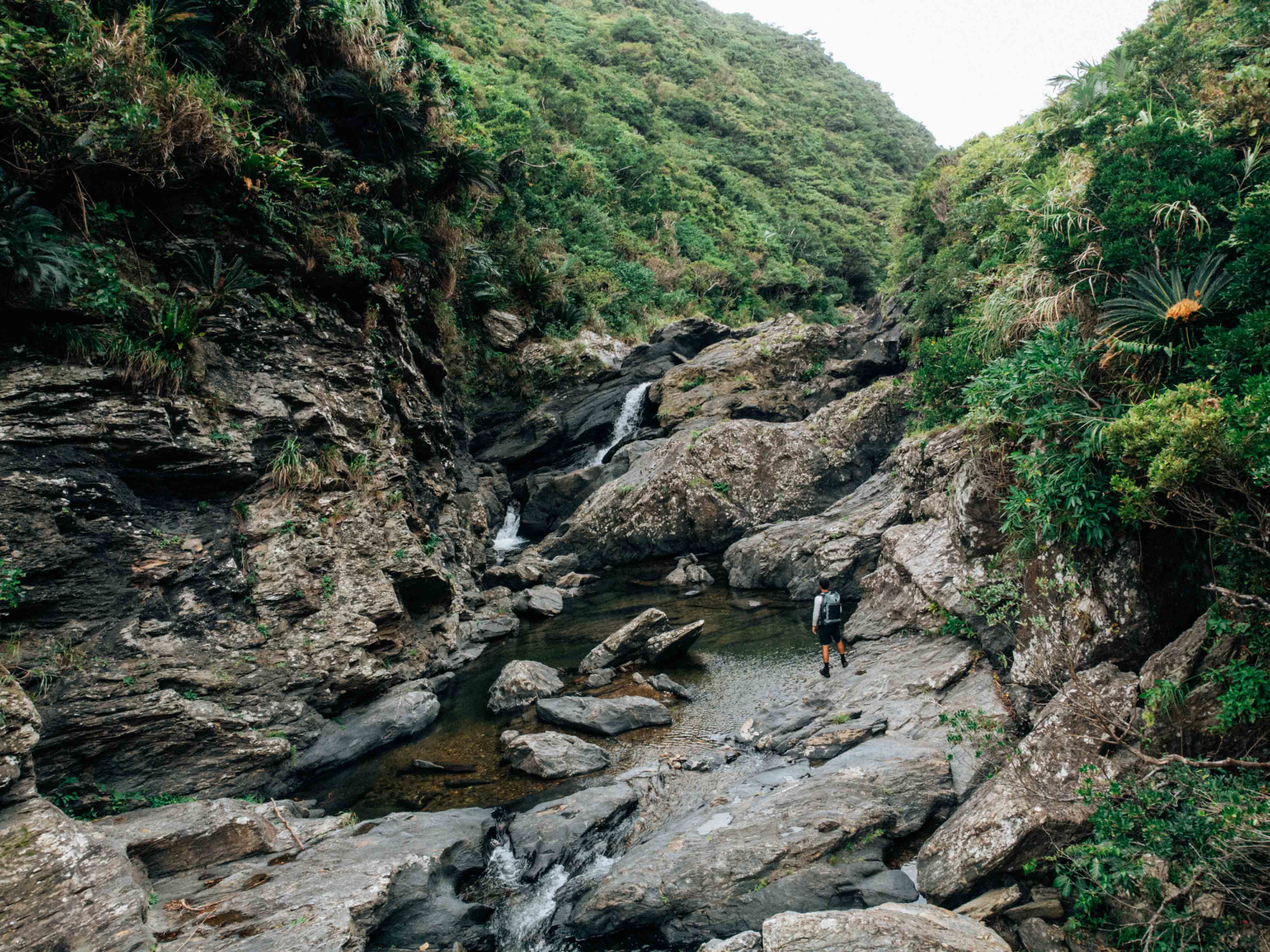 Evertrail Tours Jungle Trek Okinawa
